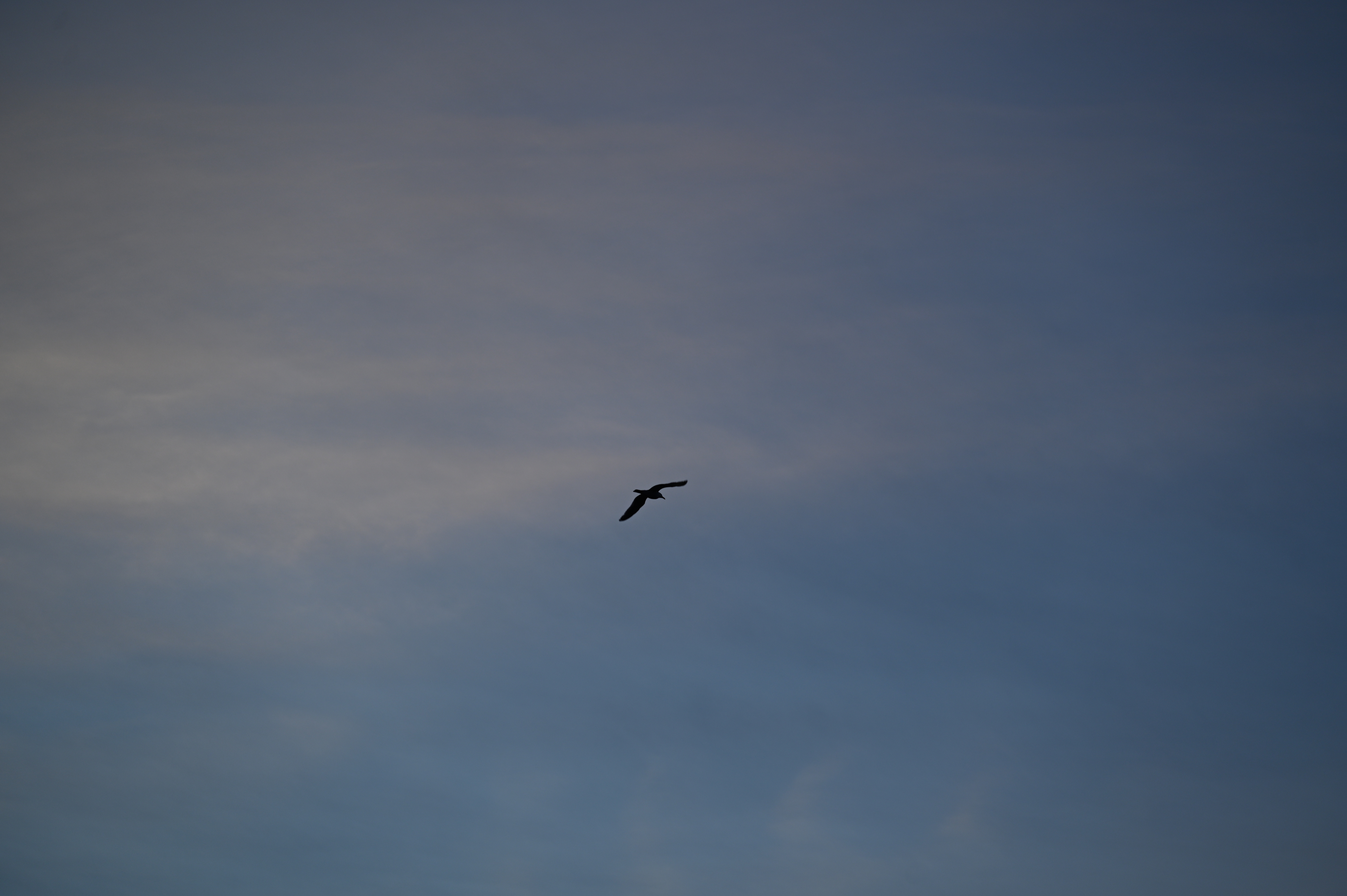 2025/07/09-14 - trip/DSC_0610.JPG